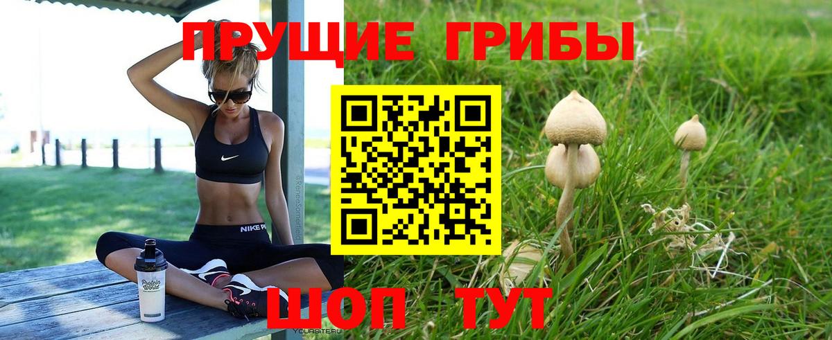 Псилоцибиновые грибы Cubensis Ялуторовск